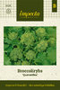 Broccolirybs 'Quarantina'