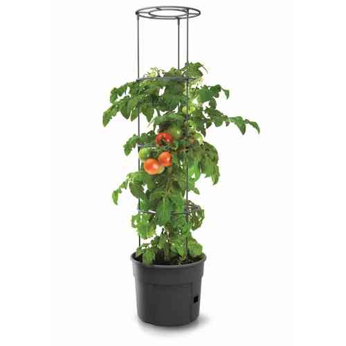 TomatoPot -tomatodlingskruka med växtstöd