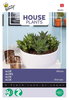House Plants Aloesekoitus