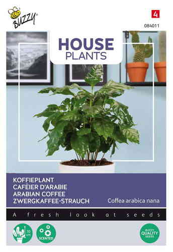 House Plants Arabiskt Kaffeträd