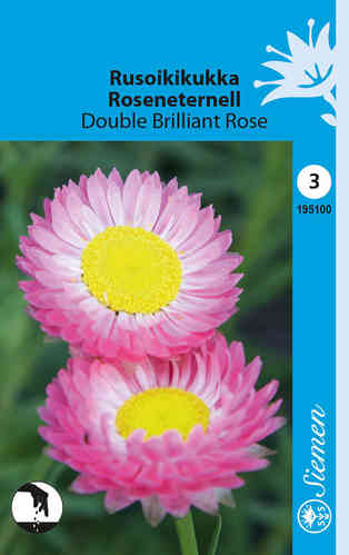 Röd Roseneternell 'Double Brilliant Rose'