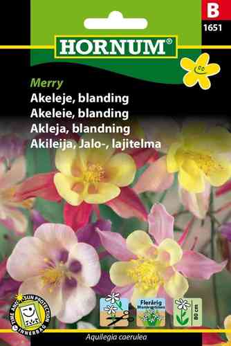 Akleja, blandning 'Merry'