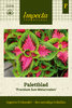 Palettblad 'Premium Sun Watermelon'
