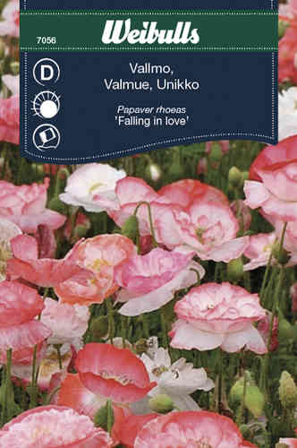 Silkkiunikko 'Falling in love'