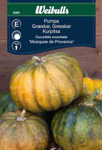 Pumpa 'Musquee de Provence'